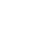 Logo - Trusted Choice White